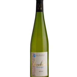 Muscat 2023 BIO AOC Alsace Demi-sec