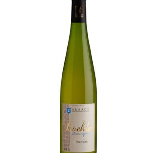 Pinot gris BIO 2023 AOC Alsace