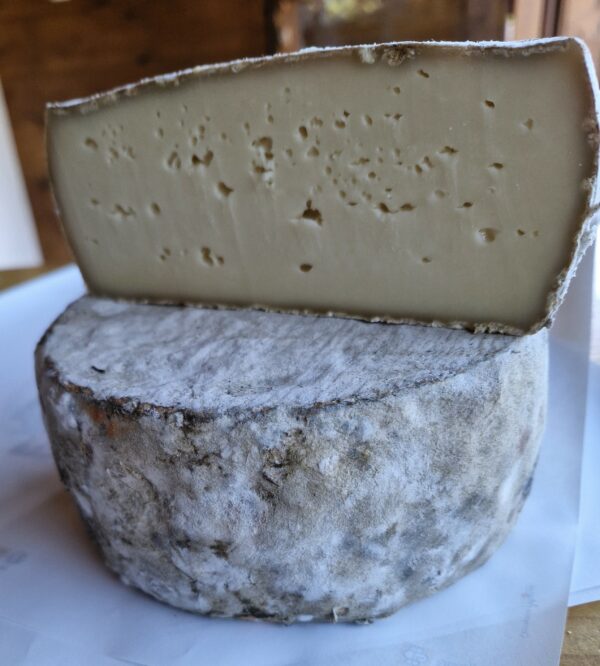 Tomme de vache