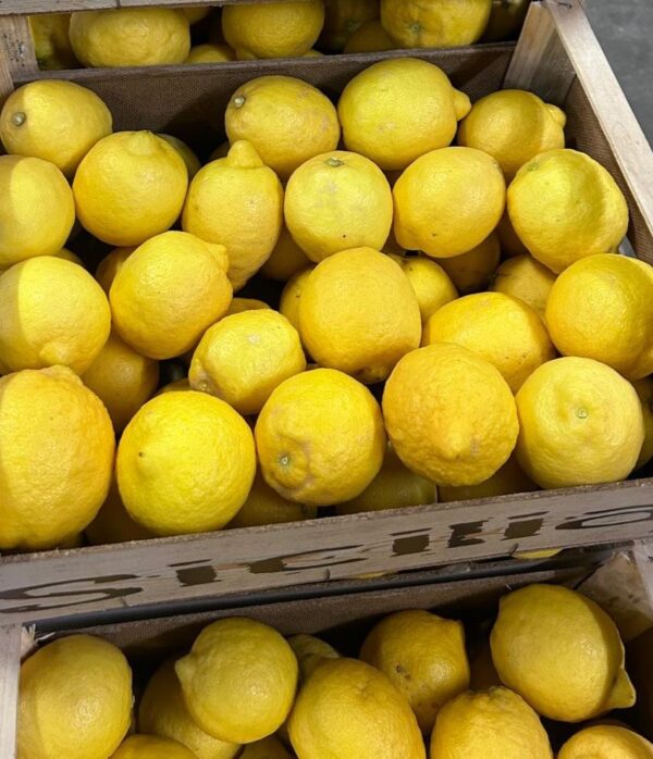 Citrons bio ≃6kg