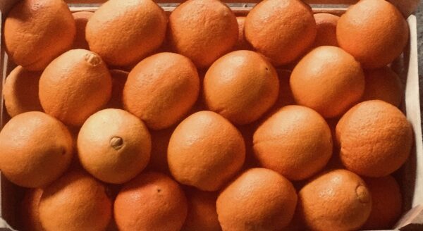 Oranges bio≃15kg