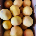 pamplemousses roses ≃10kg