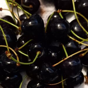 Cerises Noires