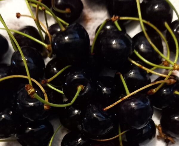 Cerises Noires