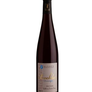 Pinot Noir élevé en fût de chêne 2021