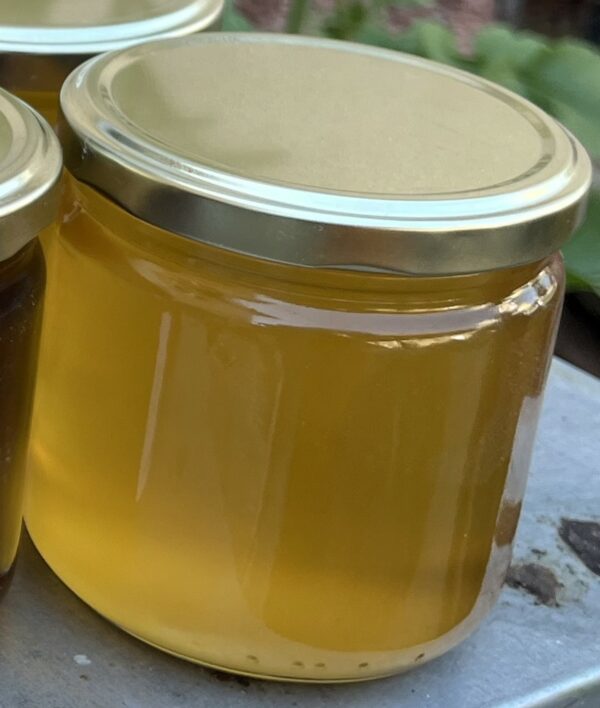 Miel d'Acacia